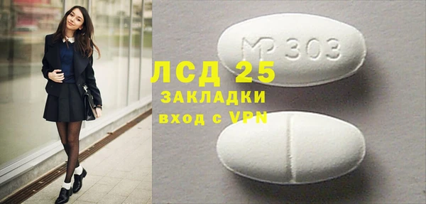 ГАЛЛЮЦИНОГЕННЫЕ ГРИБЫ Осташков
